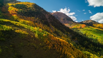 青草山墙纸